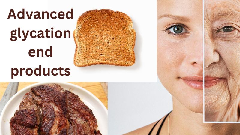 Advanced Glycation End Products  Explained